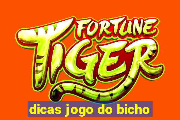 dicas jogo do bicho